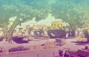 RELIZANE 504  JARDIN PUBLIC